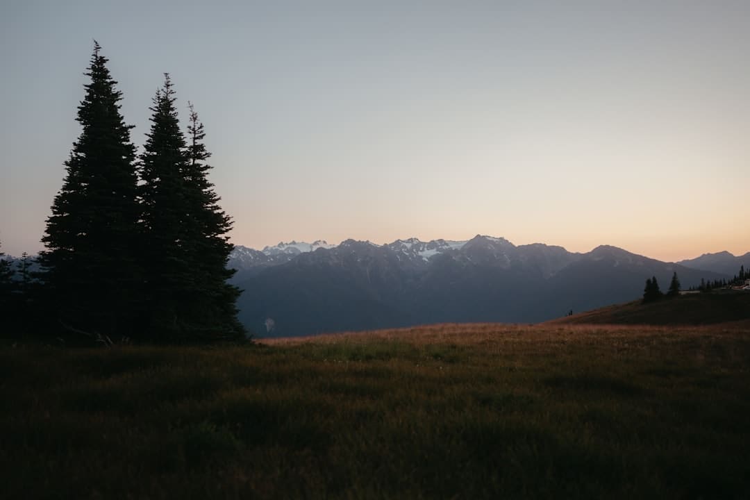 粤黔协作助力“黔货出山”“黔游出圈”